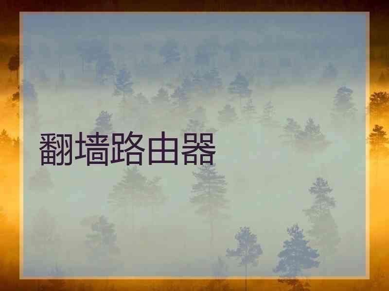 翻墙路由器