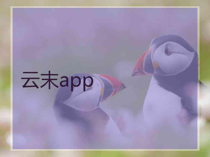 云末app