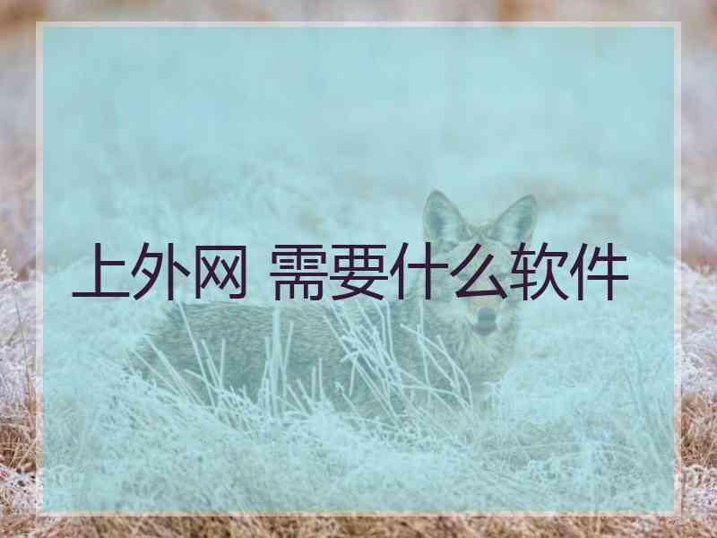 上外网 需要什么软件