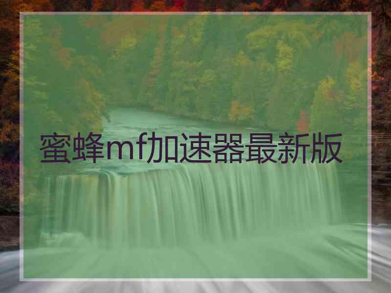 蜜蜂mf加速器最新版