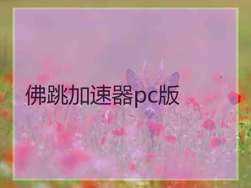 佛跳加速器pc版