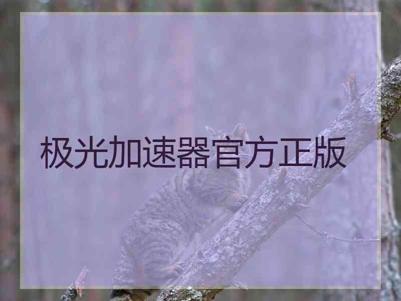 极光加速器官方正版