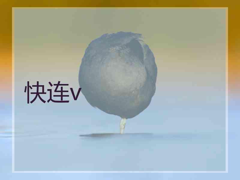 快连v