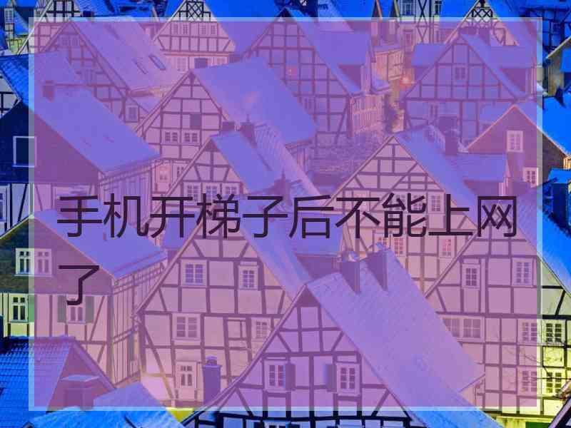 手机开梯子后不能上网了