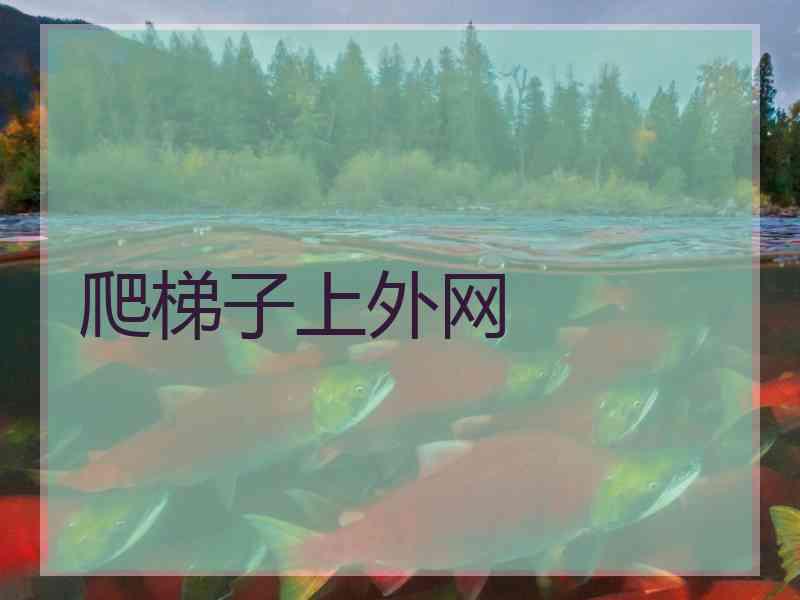 爬梯子上外网