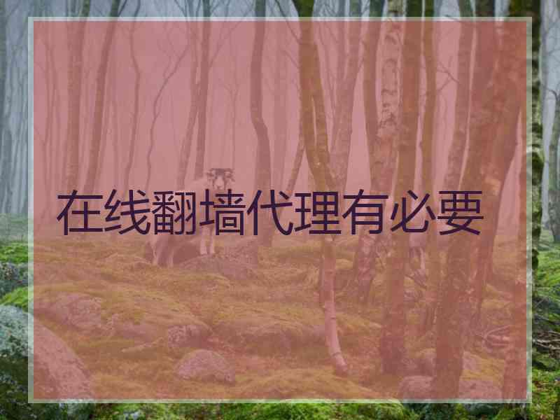 在线翻墙代理有必要