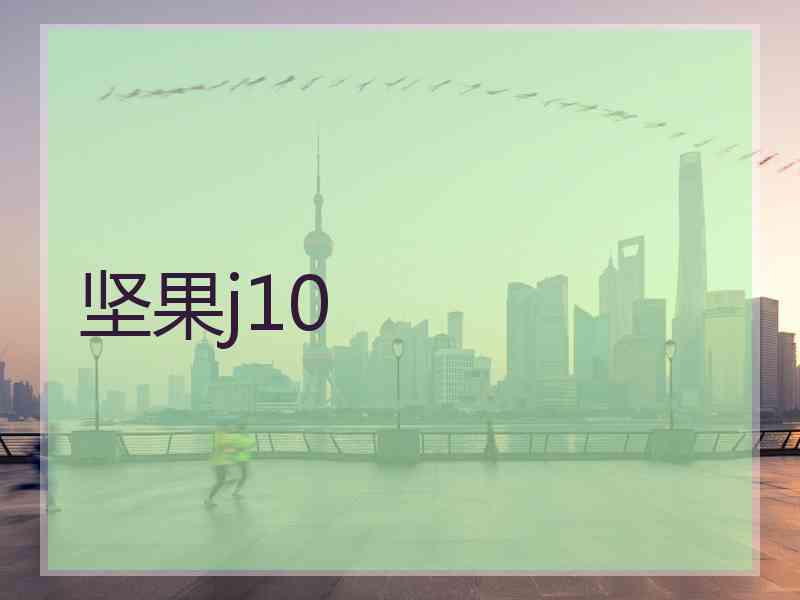 坚果j10