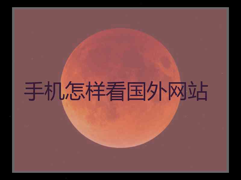 手机怎样看国外网站