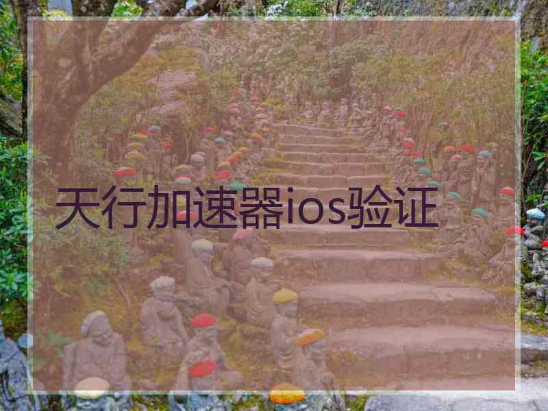 天行加速器ios验证