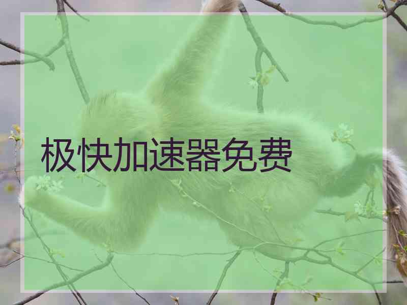 极快加速器免费