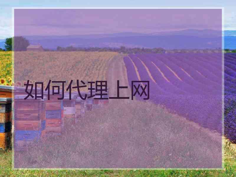 如何代理上网