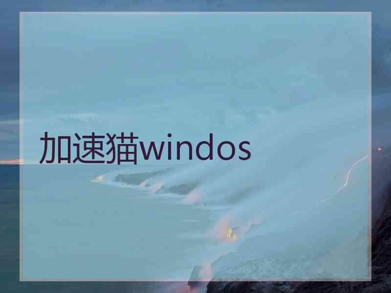 加速猫windos