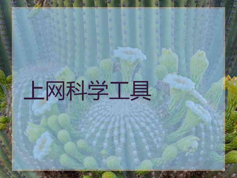 上网科学工具