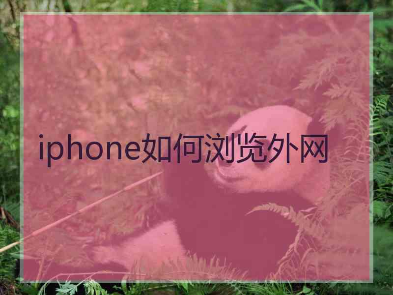 iphone如何浏览外网