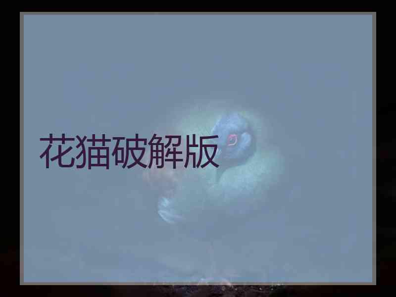 花猫破解版