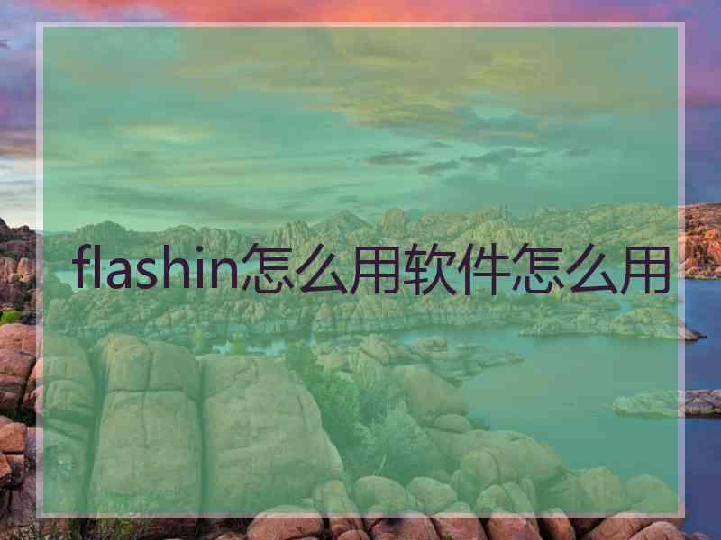 flashin怎么用软件怎么用
