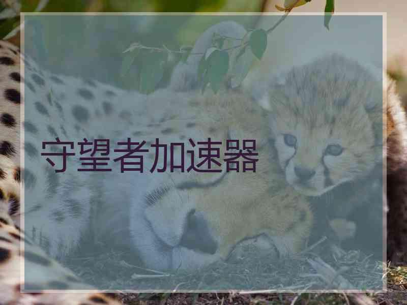 守望者加速器