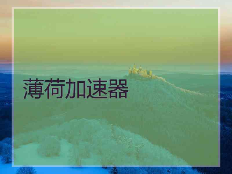 薄荷加速器