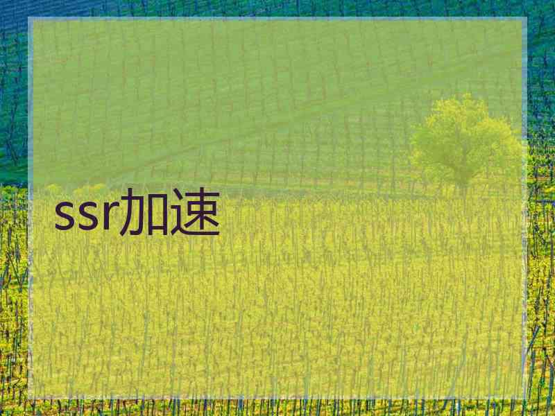 ssr加速