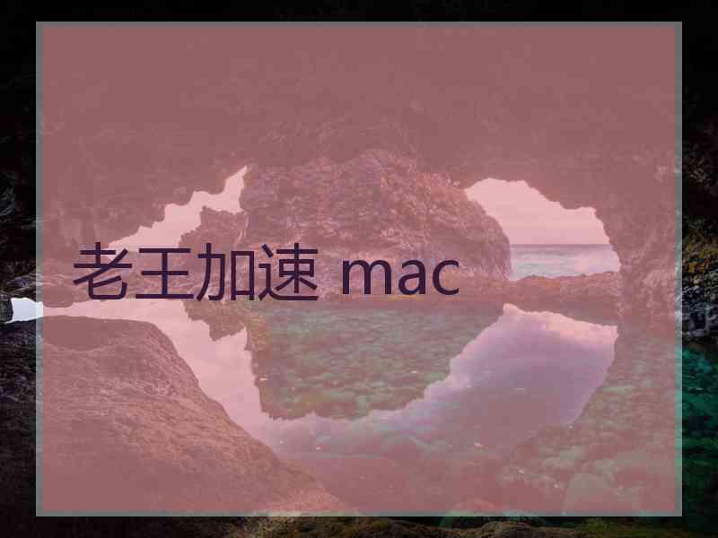 老王加速 mac