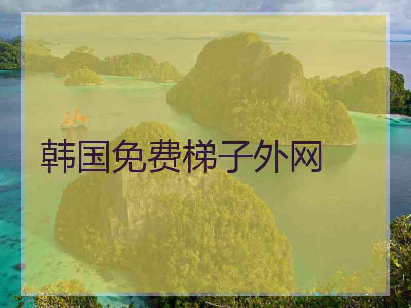 韩国免费梯子外网