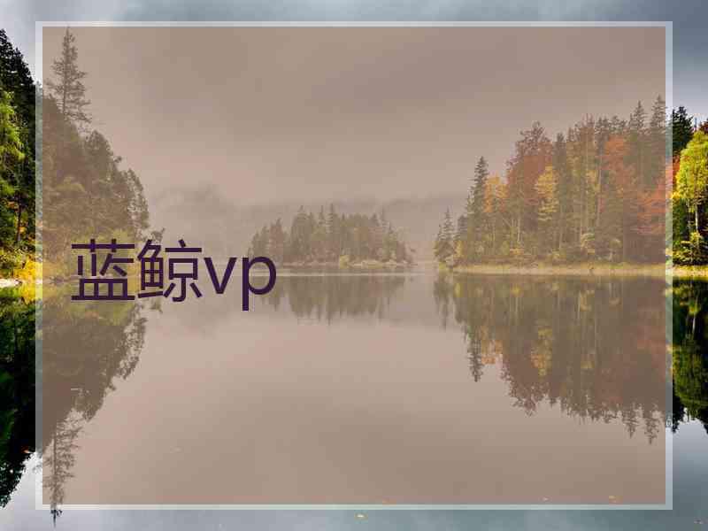 蓝鲸vp