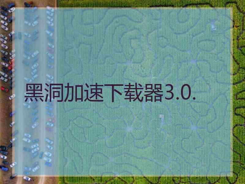 黑洞加速下载器3.0.