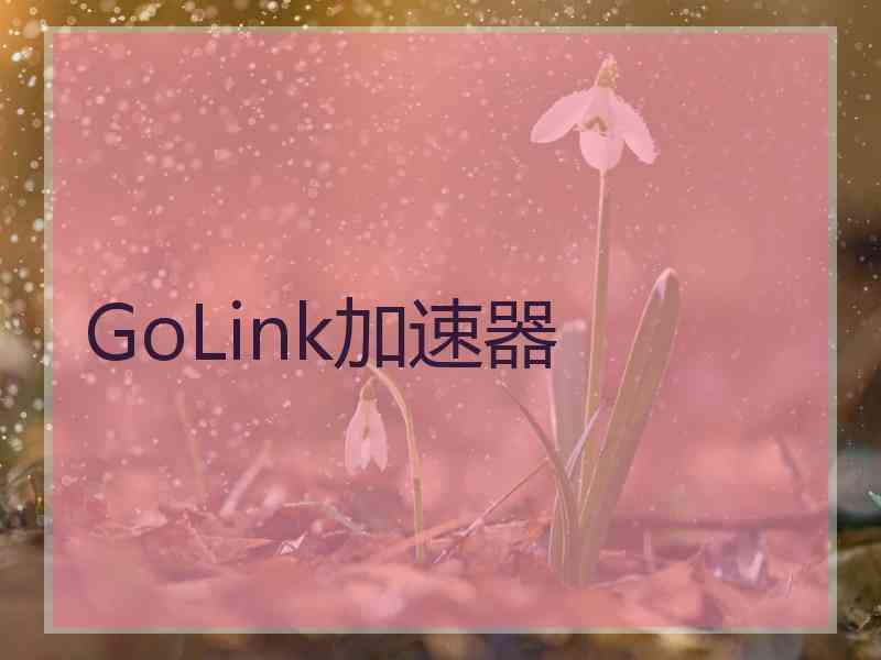 GoLink加速器
