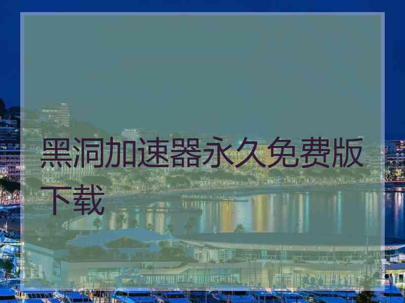 黑洞加速器永久免费版下载