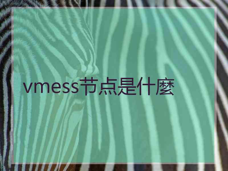 vmess节点是什麼