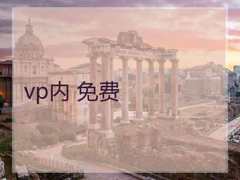 vp内 免费