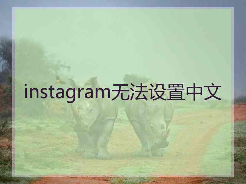 instagram无法设置中文