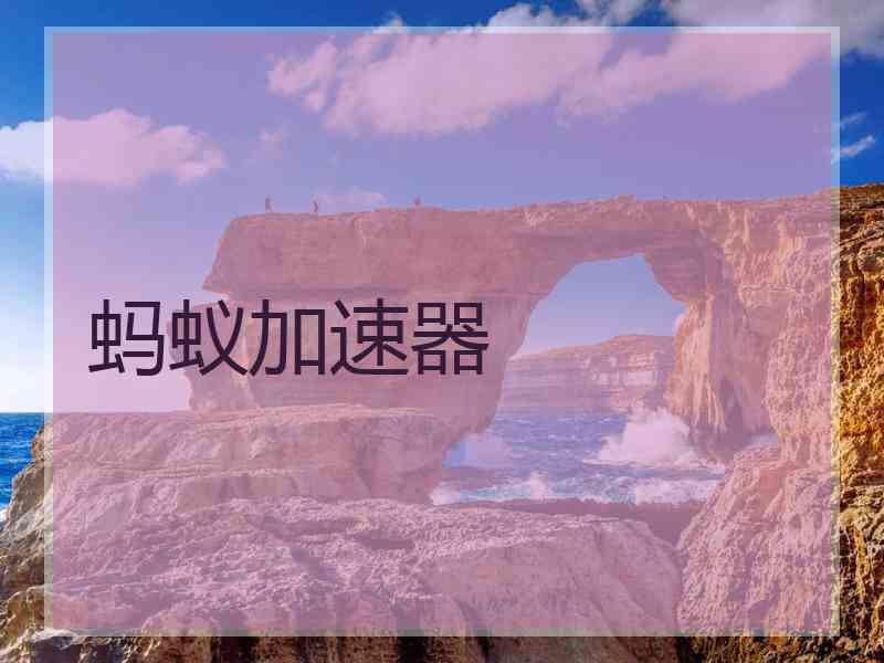 蚂蚁加速器