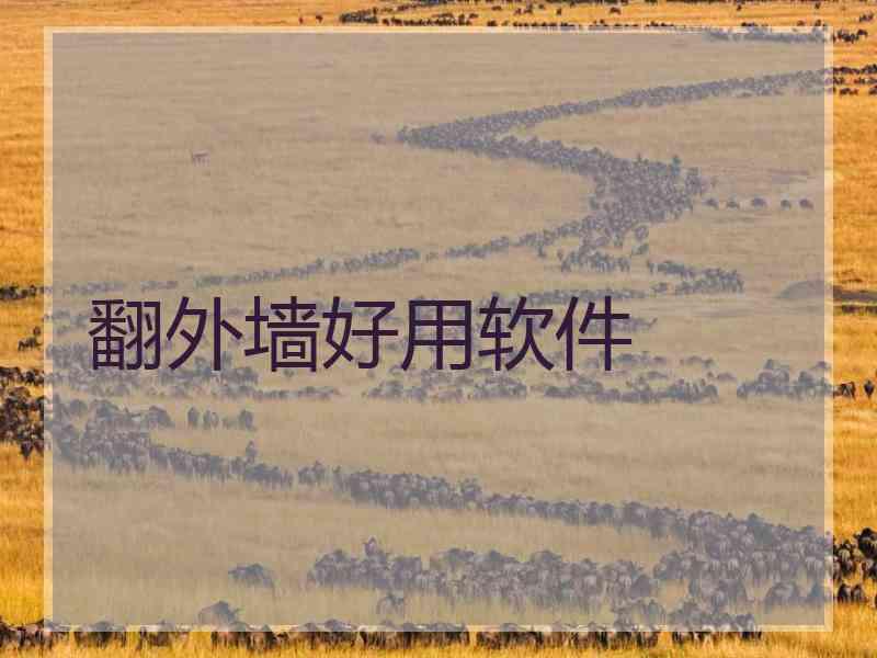 翻外墙好用软件