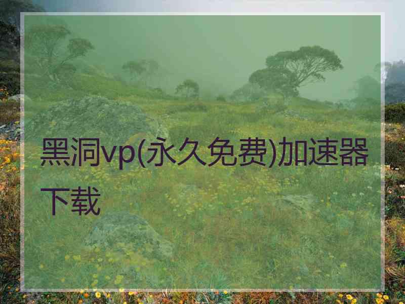 黑洞vp(永久免费)加速器下载