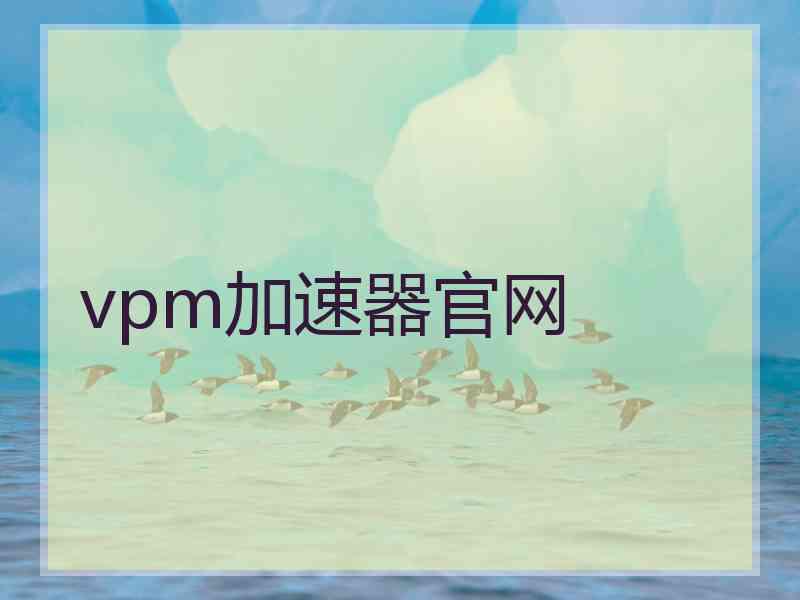 vpm加速器官网