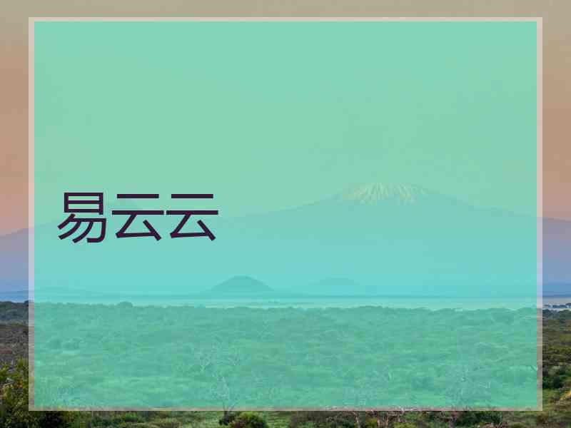 易云云