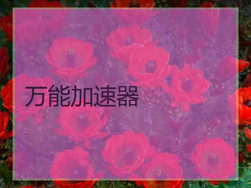 万能加速器