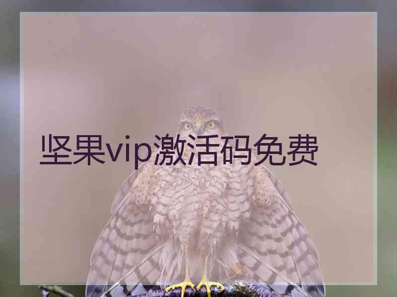 坚果vip激活码免费