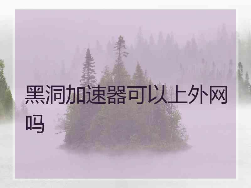 黑洞加速器可以上外网吗