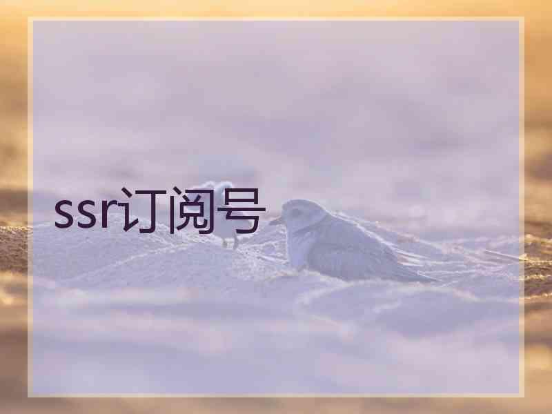 ssr订阅号