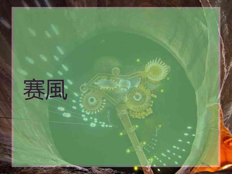 赛風