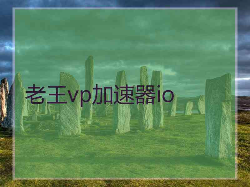 老王vp加速器io