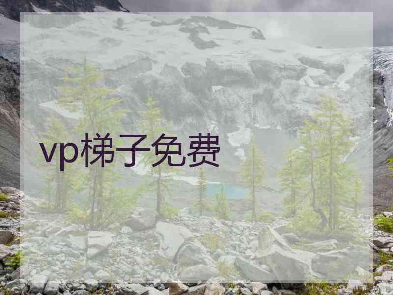 vp梯子免费