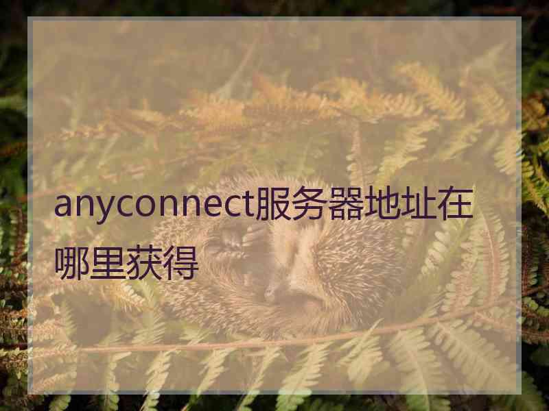 anyconnect服务器地址在哪里获得