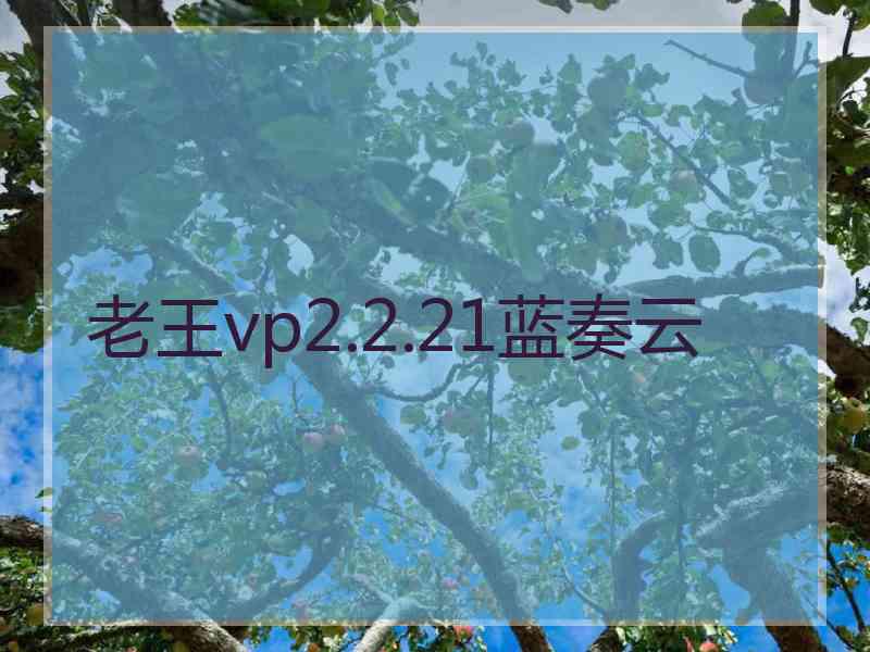 老王vp2.2.21蓝奏云