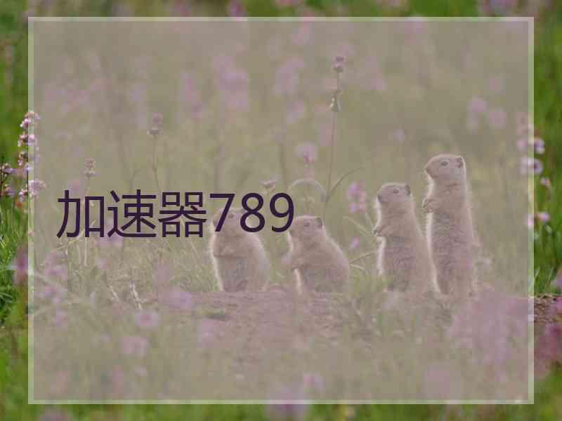 加速器789