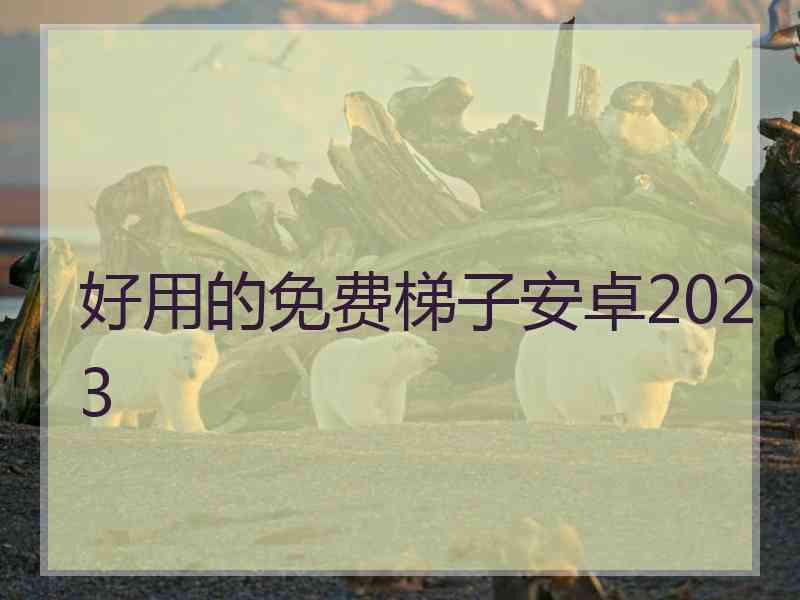 好用的免费梯子安卓2023