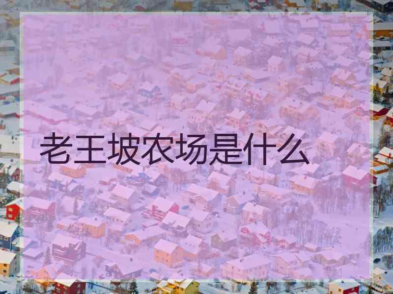 老王坡农场是什么