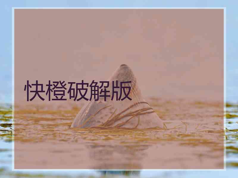 快橙破解版